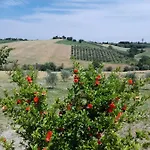 Il Giardino Nella Valle 公寓 Belvedere Ostrense