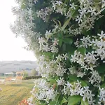 公寓 Il Giardino Nella Valle