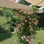 Il Giardino Nella Valle 公寓 *