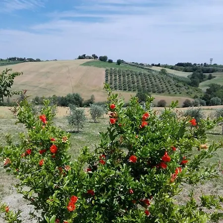 Il Giardino Nella Valle Lejlighed Belvedere Ostrense