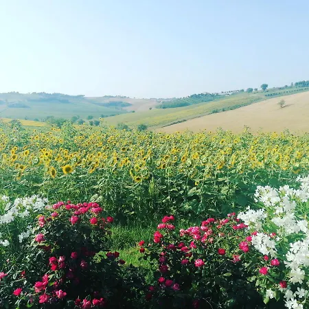 Appartamento Il Giardino Nella Valle