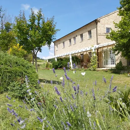 Il Giardino Nella Valle Belvedere Ostrense