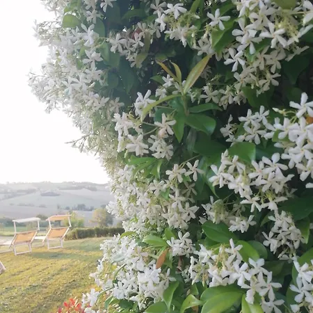 Appartement Il Giardino Nella Valle