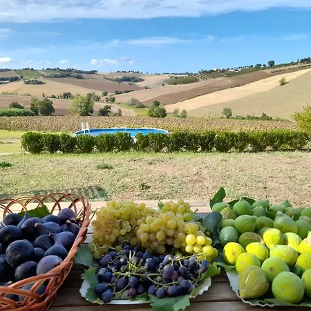 Il Giardino Nella Valle Lejlighed Belvedere Ostrense