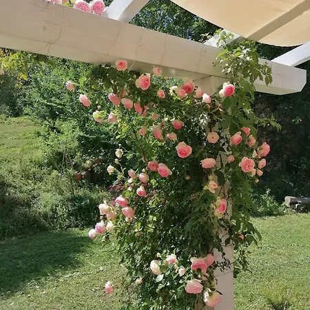Il Giardino Nella Valle Lejlighed *
