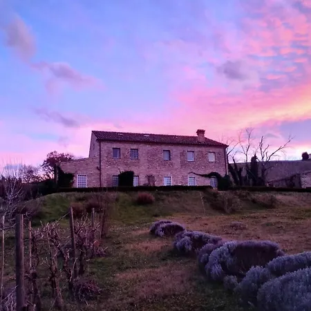 Lejlighed Il Giardino Nella Valle Belvedere Ostrense
