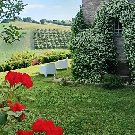 Il Giardino Nella Valle Belvedere Ostrense