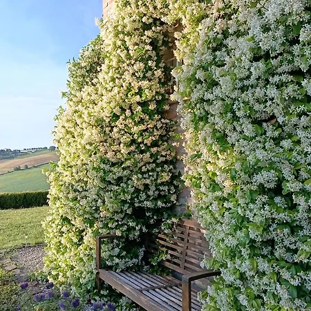Il Giardino Nella Valle Lejlighed *