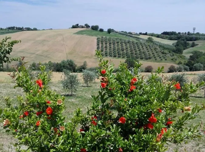 Il Giardino Nella Valle Appartamento Belvedere Ostrense