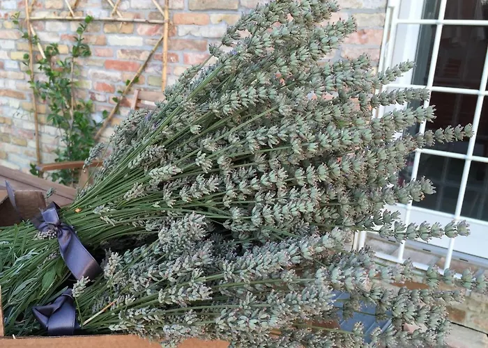 Appartamento Il Giardino Nella Valle