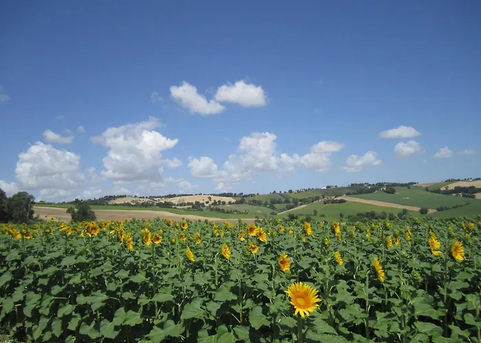Il Giardino Nella Valle Appartamento
