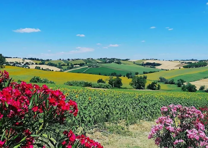 Appartamento Il Giardino Nella Valle Belvedere Ostrense