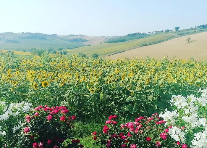 Appartamento Il Giardino Nella Valle