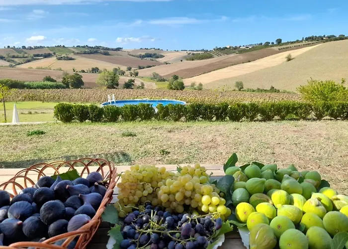 Il Giardino Nella Valle Appartamento Belvedere Ostrense