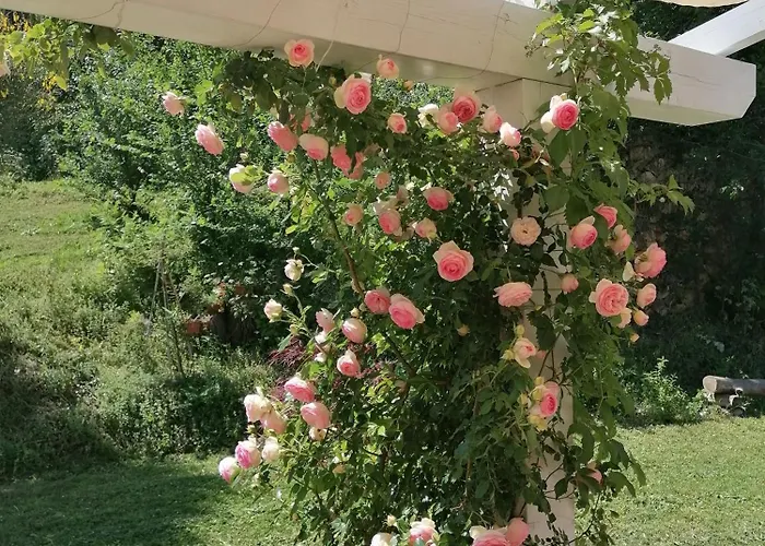 Il Giardino Nella Valle Appartamento *